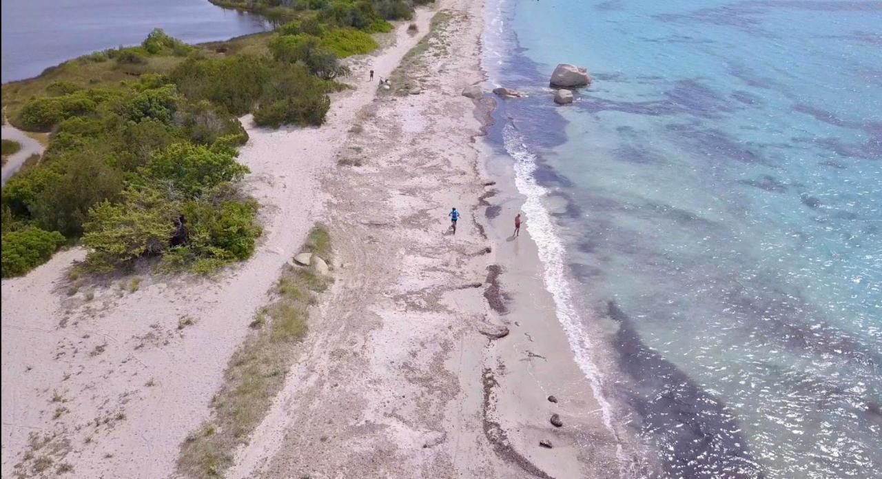 Villas Cala Corsa 4 Chambres Piscine Privee Chauffee - Internet Fibre - Entierement Climatisee A Lecci De Porto-Vecchio Cala Rossa Eksteriør billede